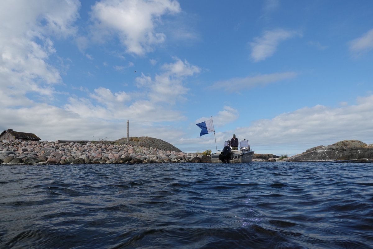 biodiversea_ax's tweet photo. ÅlandSeaMap karterar på Kökar den här veckan. Vi har hittat karga och vågeroderade undervattensmiljöer som lyckas uppehålla ett välmående och mångfaldigt artsamhälle, reflekterande skärgården ovanför ytan. Bilder tagna av Petra Arola. #MarineMapping #Åland #Kökar #Östersjön https://t.co/WepYvuHG84