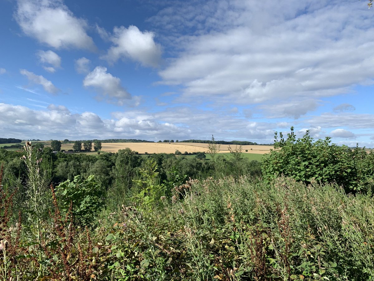 Helen Lambirth tweet media