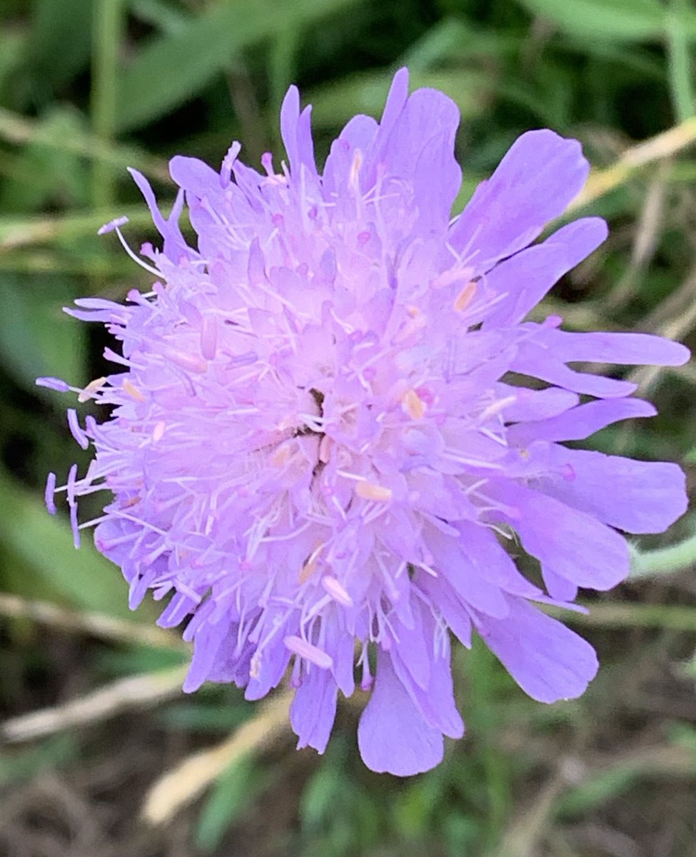 Helen Lambirth tweet media