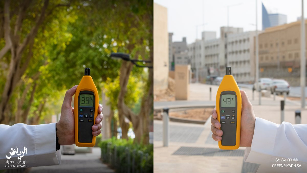 تمنحنا الأشجار درجة حرارة أقل، ومشهد حضري أجمل لمدينتنا
#الرياض_الخضراء 🌳