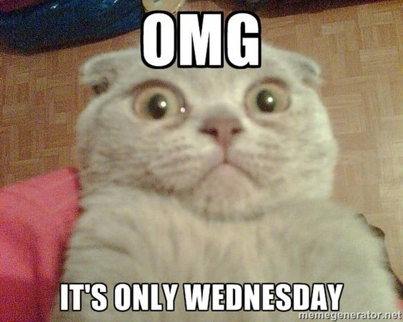 poetrybymario's tweet photo. #HelloMilwaukee Longest week ever. Feels like two months have happened in the last 4 days. Now a #ImpactDay. 

I just can't... #HumpDay #OnlyWednesday 

@WISN12News @GerronJordan @DGutierreztv @LindseySlaterTV #LindseyZoo https://t.co/XSgWUZcJFI