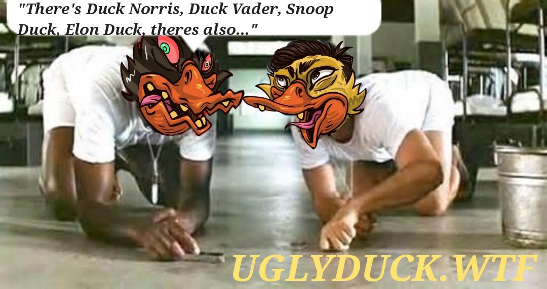UglyDuck.wtf tweet media