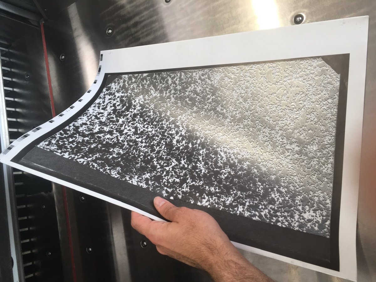 The Case of Will &amp; Schumacher

panefarre.com/2022/08/01/the…