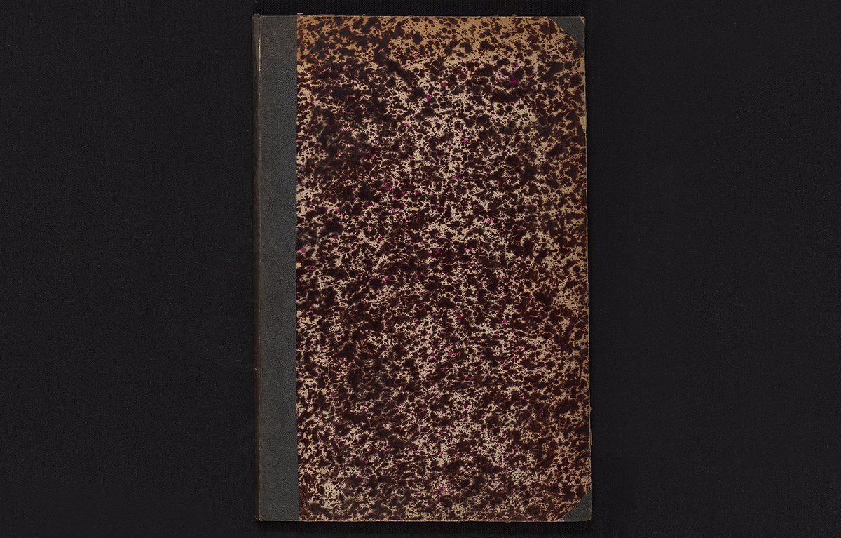 @panefarre@typo.social tweet media