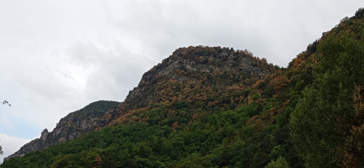 AlertaForestal's tweet photo. L'observació del mes de #Juliol 🏅📸
Fa una setmana vam rebre aquesta aportació de @meteocadi: una muntanya ataronjada per la #Sequera entre #Cercs i #Guardiola (#Berguedà) 🍂😥
Us preguntem el grau d'afectació per sequera d'aquest paisatge al següent tuit. Encertareu? 👇 https://t.co/PqAalu1ZV0
