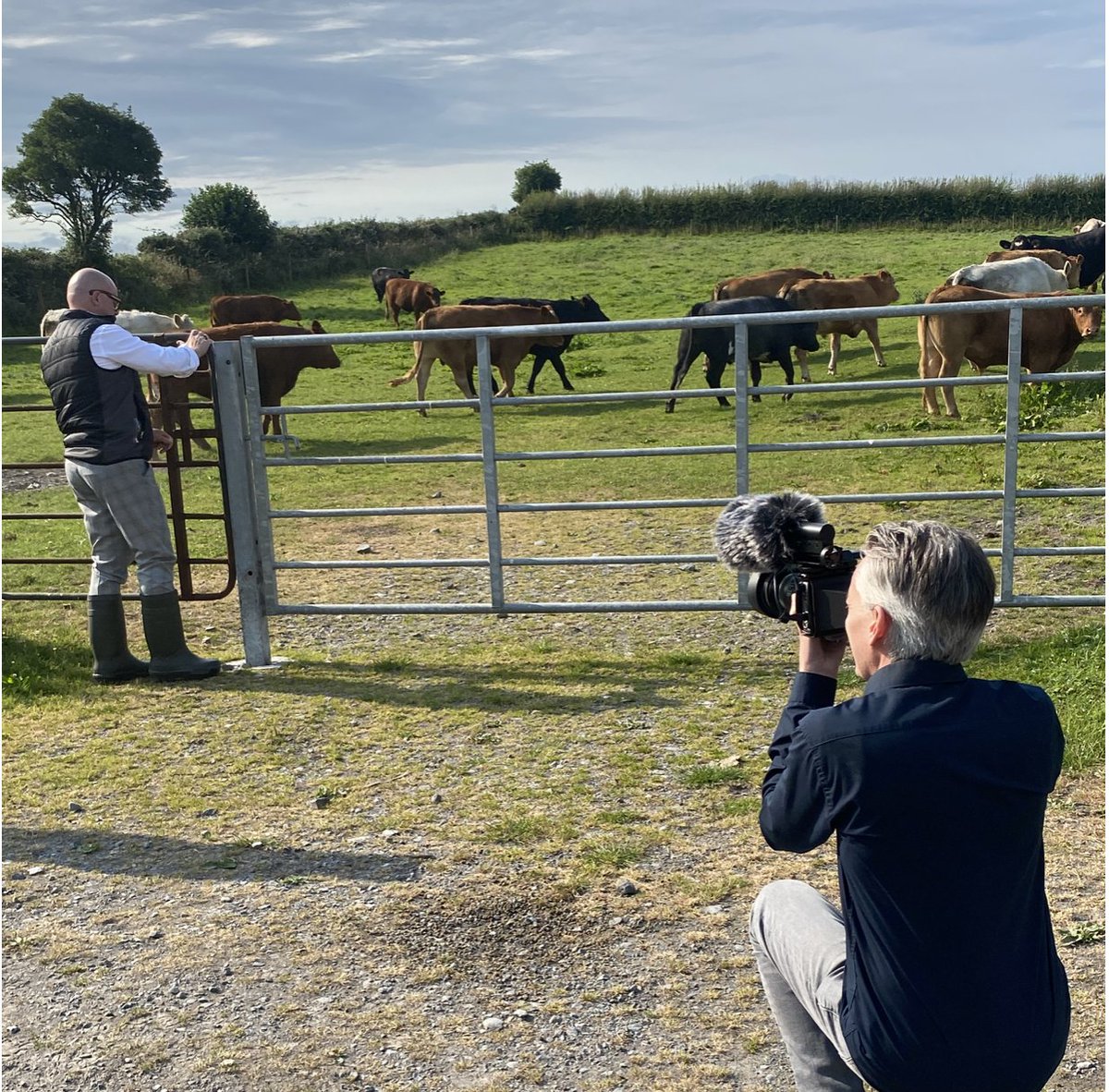 Williams Gate tweet media