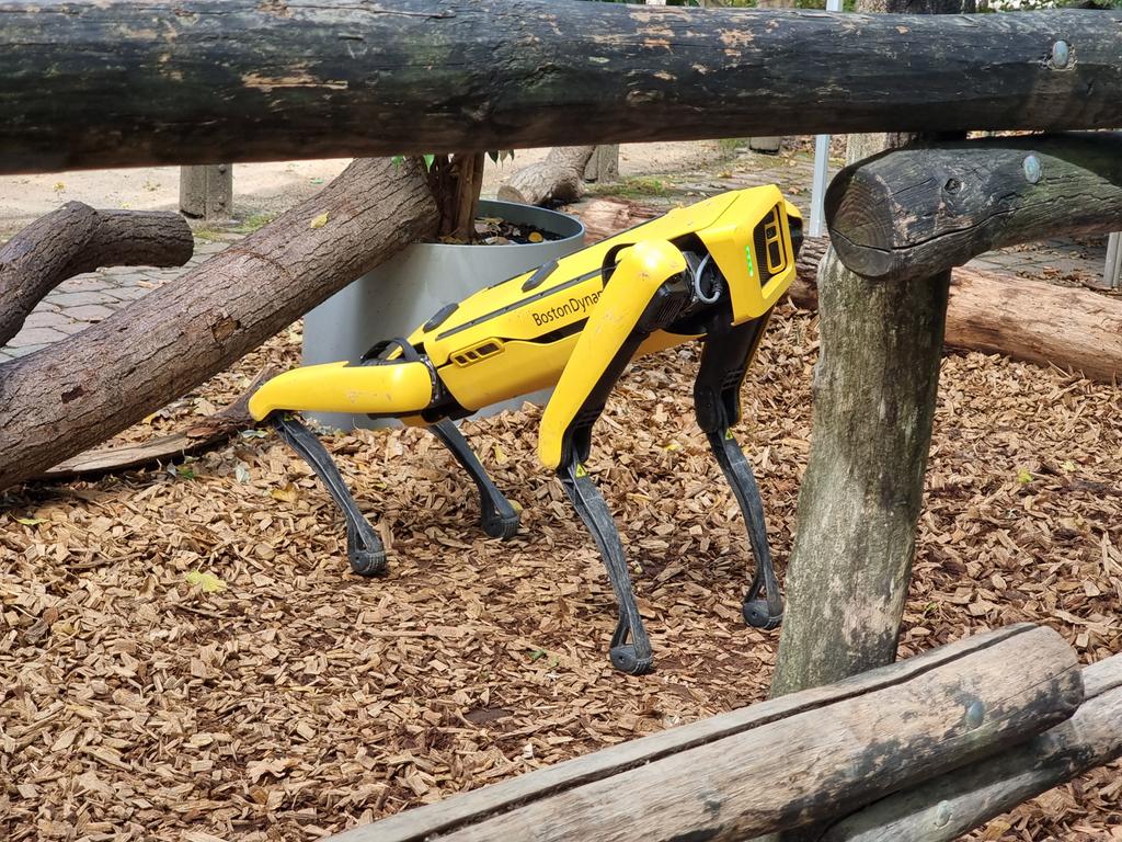 RockingB's tweet image. Hier im Zoo gibt es auch exotische Tiere 😂