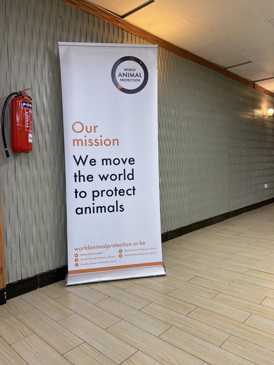 JBNyamate's tweet photo. .@MoveTheWorldAF's Edith Kabesiime: Our vision of World Animal Protection is a world where animals live free from cruelty and suffering. And our mission is "We move the World to protect animals" ~Edith Kabesiime #WorldLionsDayUG
#ChangeLivesForever #SupportAnimalFreedom https://t.co/OpH9OHAPvd