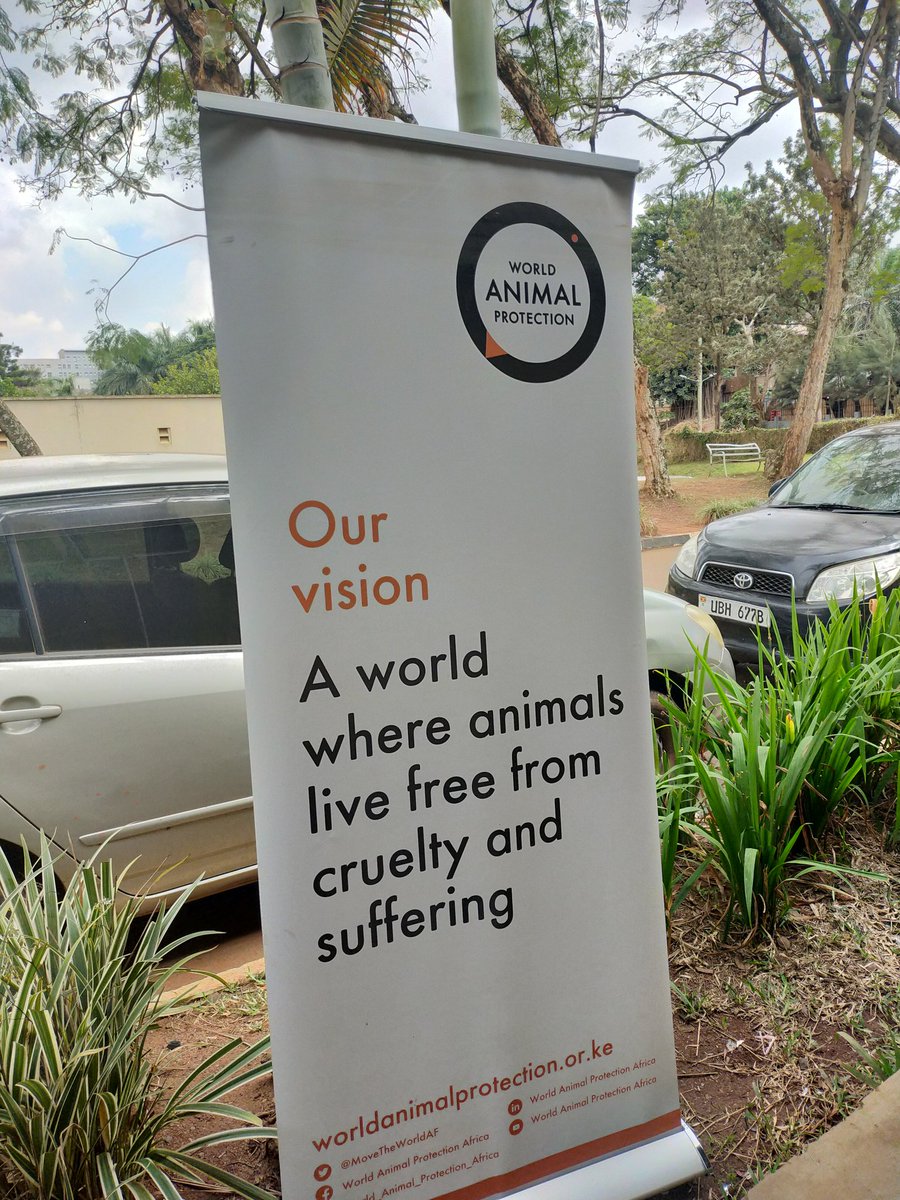 JBNyamate's tweet photo. .@MoveTheWorldAF's Edith Kabesiime: Our vision of World Animal Protection is a world where animals live free from cruelty and suffering. And our mission is "We move the World to protect animals" ~Edith Kabesiime #WorldLionsDayUG
#ChangeLivesForever #SupportAnimalFreedom https://t.co/OpH9OHAPvd