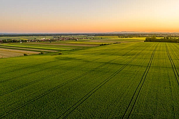 Trevorttg's tweet photo. @SteveAlexttp #cropcircles #phenomena #cropmarks #mysteries #ufotwitter #UFO #sacredgeometry
#Aliens π½
Even more impressive- Incredible work of #AlienEngineering Parallel lines, row upon row, mile upon mile, a whole landscape of emβΌοΈ https://t.co/JPlOV7DXcl