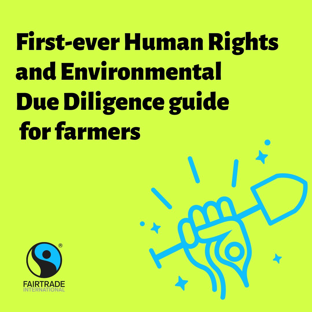 The guide 'Implementing Human Rights and Environmental Due Diligence: Why &amp; how to align your policies and processes with #HREDD' is a 1st to:

✅Strengthen the position of farmers &amp; workers
✅ Provide them know-how to influence biz  practices + laws: bit.ly/3bsiYxW