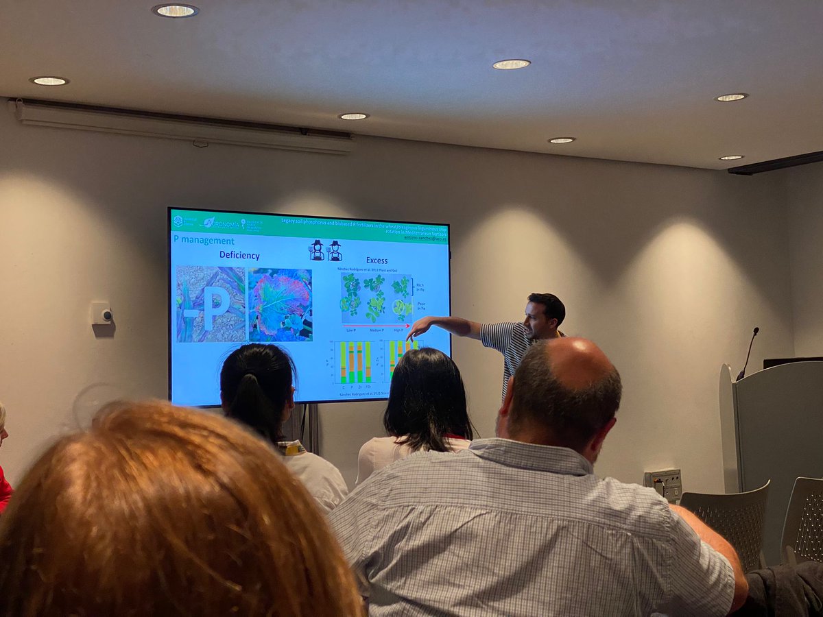 SoilCordoba's tweet photo. Today, our oral presentation on Sustainable use of legacy soil phosphorus in Mediterranean soils. Take care of our sois to enhance our health #WCS22 #phosphorus #circulareconomy #SoilHealth https://t.co/93vec1O8VI