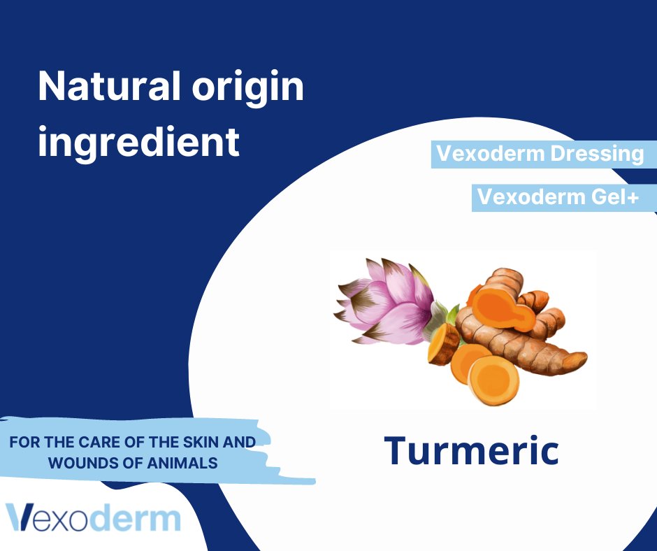Vexoderm's tweet photo. Turmeric is one of the ingredients our two products are composed of. 

It fights tissue oxidation and provides a defense against inflammation.

For more information visit https://t.co/HueLN3gxdC

#veterinary #naturalorigin #animalcare #woundcare #animals #vexoderm https://t.co/tezPhjNGNQ