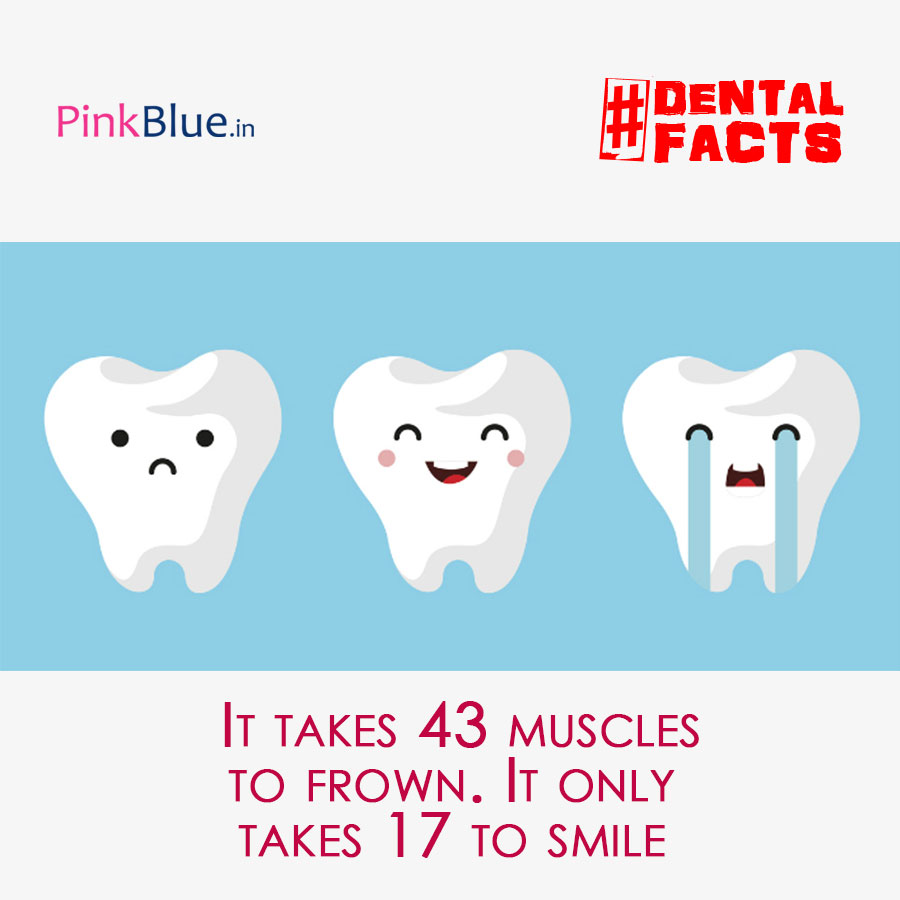 PinkBlue.In tweet media