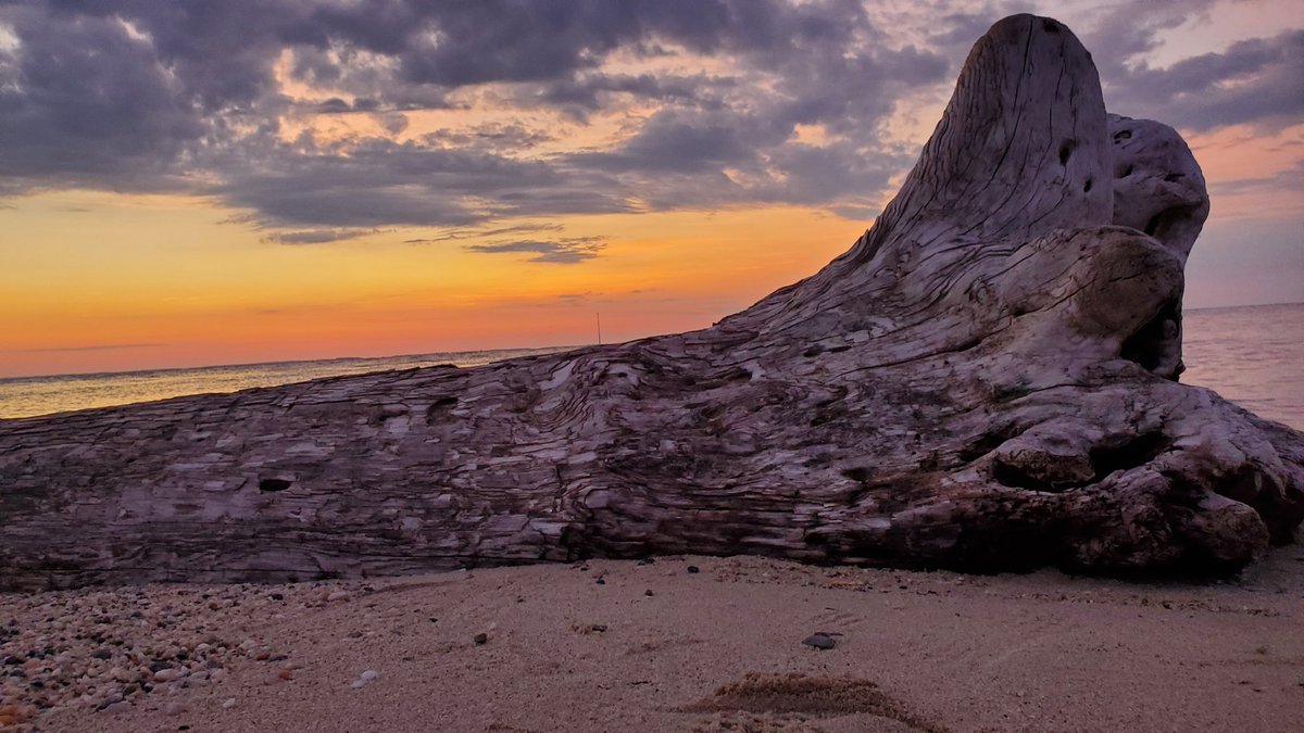 scottmcquinn1's tweet image. Beautiful way to start a Wednesday 💯 Don&apos;t sleep away Mother Nature&apos;s amazing views 😉 @TuckerFox5 @ClaireFox5DC @fox5dc @SOMDWxNews @ClaireFox5DC