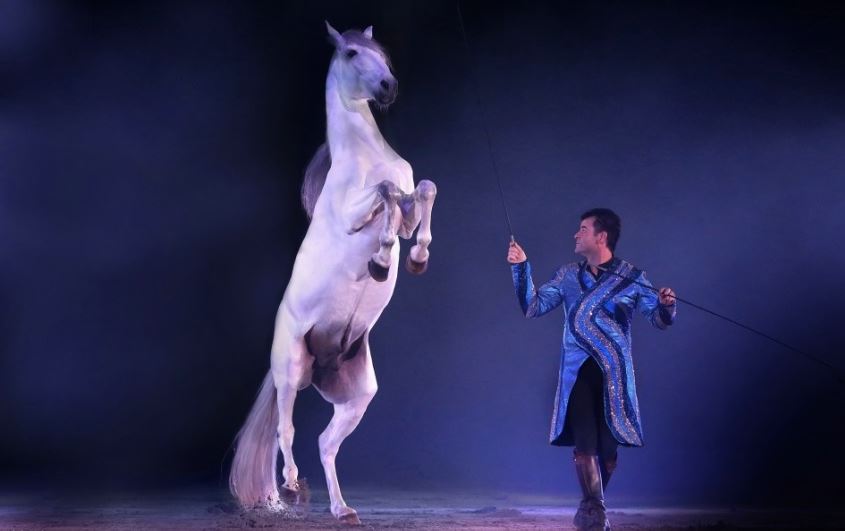 Tous les jeudis de l'été, prenez place face au Lac du Causse, plage des peupliers. 
Jeudi 18 août : Cie Hasta Luego -Spectacle équestre à 21h.  Gratuit ! Tout l'agenda 👉  bit.ly/3BGNdvR #tousgaillards