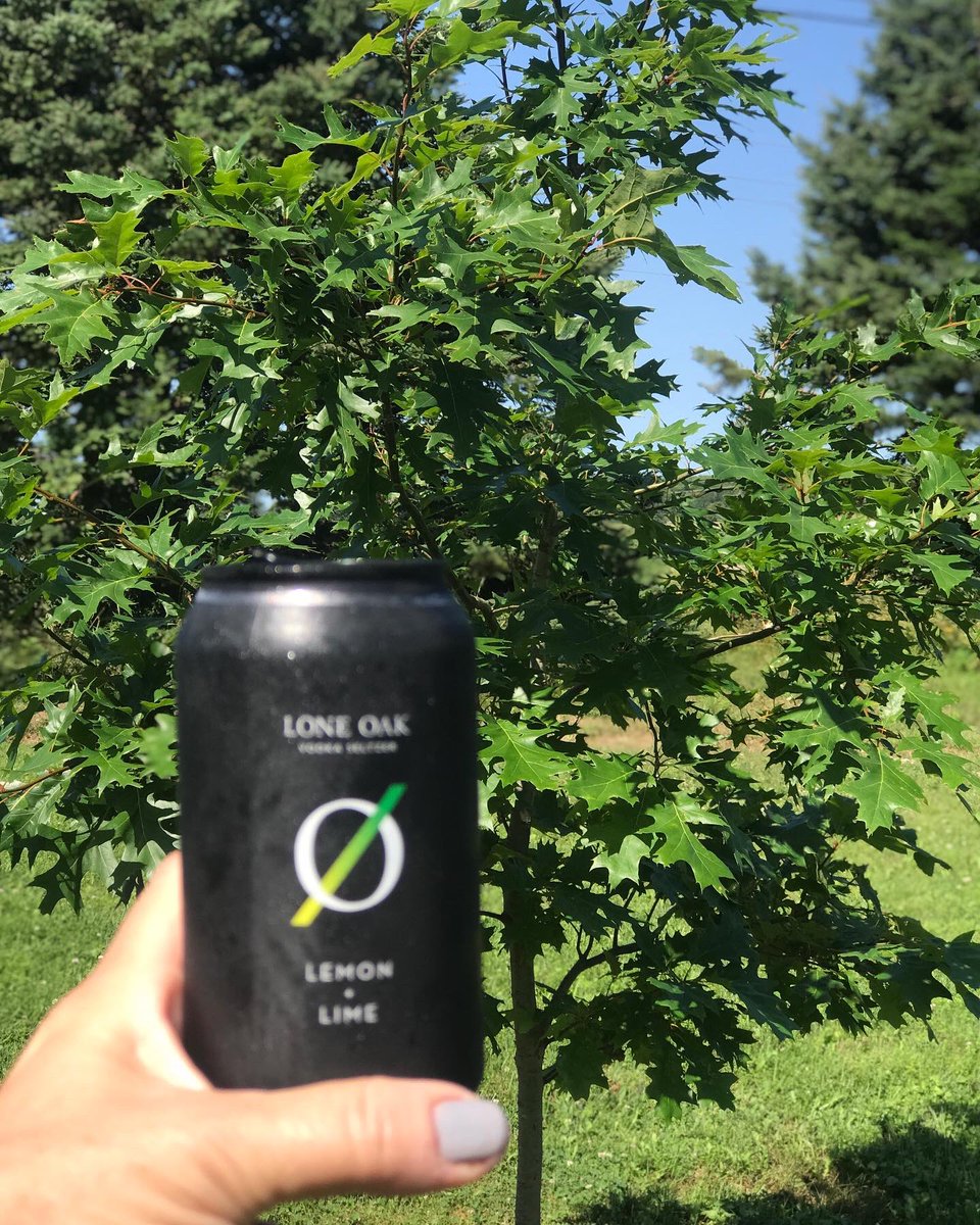 gallantish's tweet photo. It just hit me! I’m having a Lone Oak #seltzer from @loneoakbrew in front of my lone oak tree! Proud of that baby grown right from an acorn from our friends in #Welland #Ontario &amp; now in #PEI #delicious #blackcan https://t.co/xiPWmS9j6z