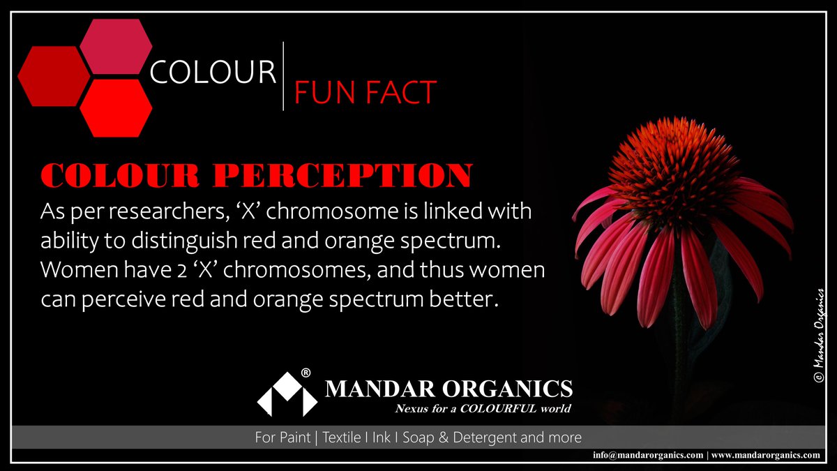MandarOrganics's tweet photo. COLOUR FUN FACT #2
#Colour perception is linked to your genetic coding. We will tell you why..
#ColourFunFact #Funfact #Chromosome #Genetics #MandarOrganics #MOPL #NexusForAColourfulWorld https://t.co/pb4rTb8cDm