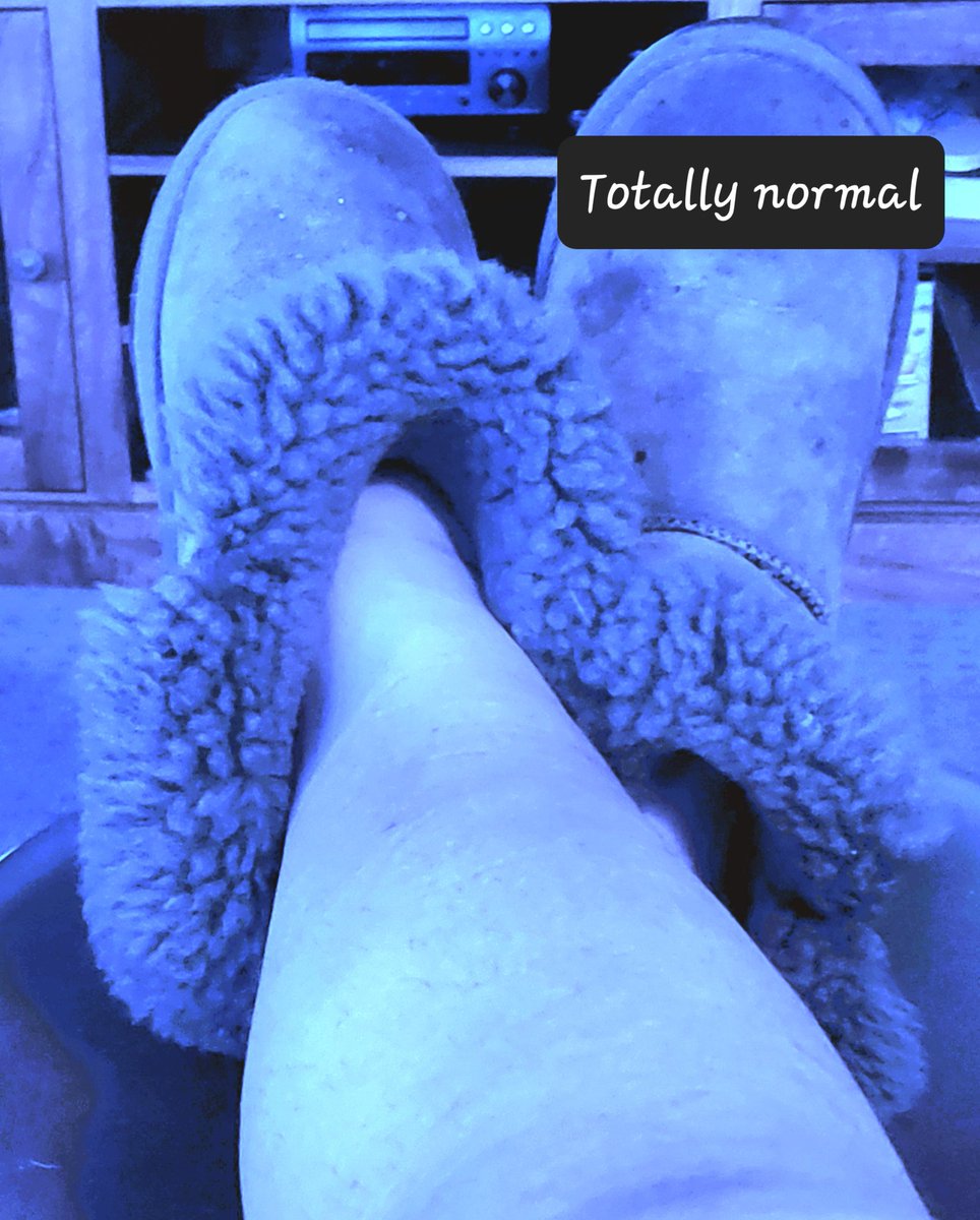 TotallyNormal6's tweet image. It's been months. Life has been busy. The world is more confusing than ever with social and mainstream media platforms competing for our attention.  Concentrating on keeping busy and developing our own sustainable lifestyle.
Keeping it real and keeping warm.