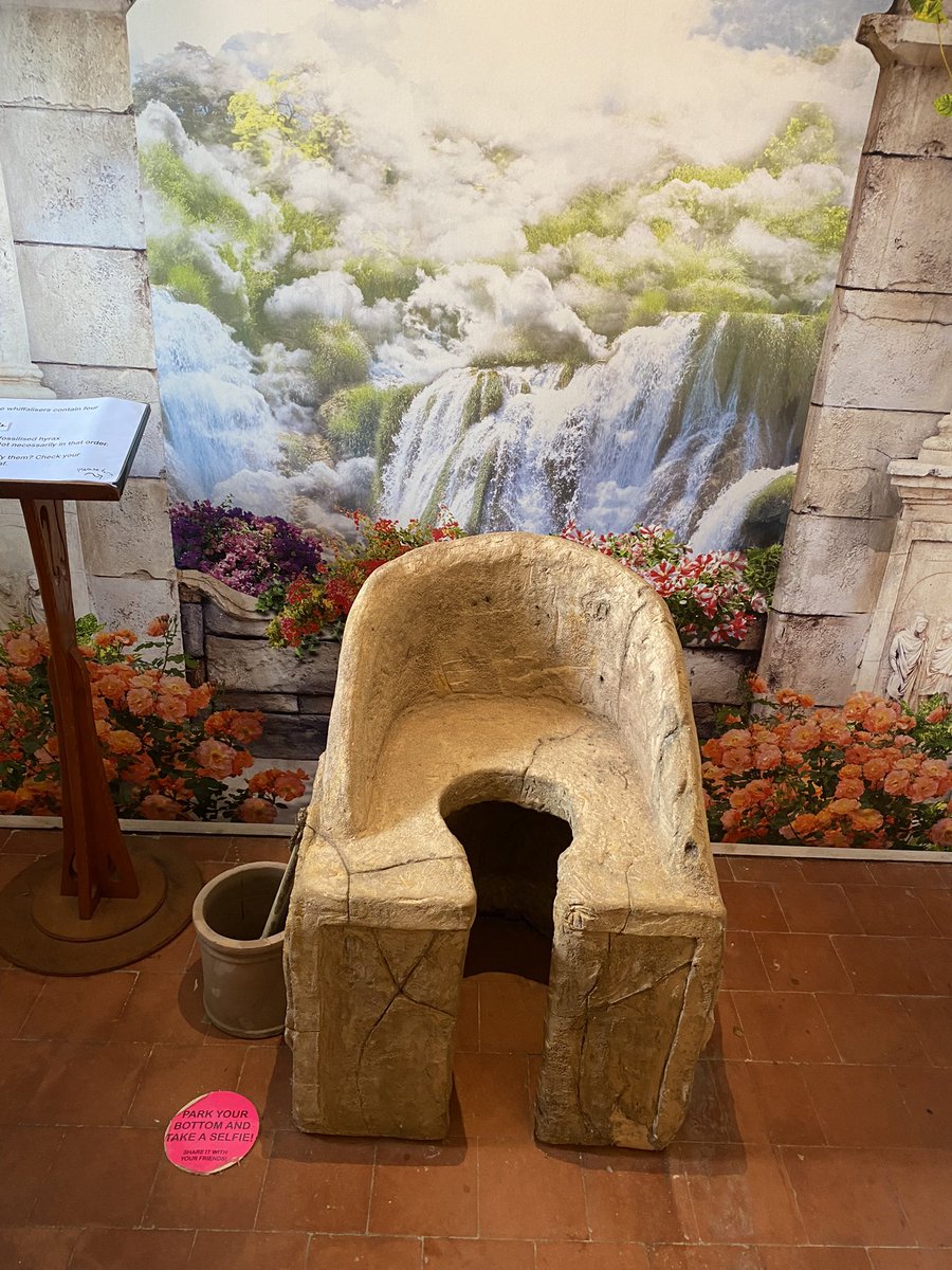 Allison Sykes tweet media