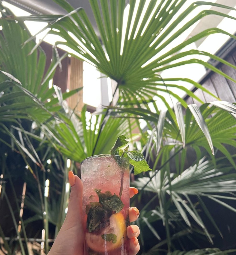 MolokoLiverpool's tweet photo. Feeling fruity? Tropical cocktails in the beer garden it is! 🌴

https://t.co/3RvxxBg9s5 https://t.co/wu1s8I2lt6