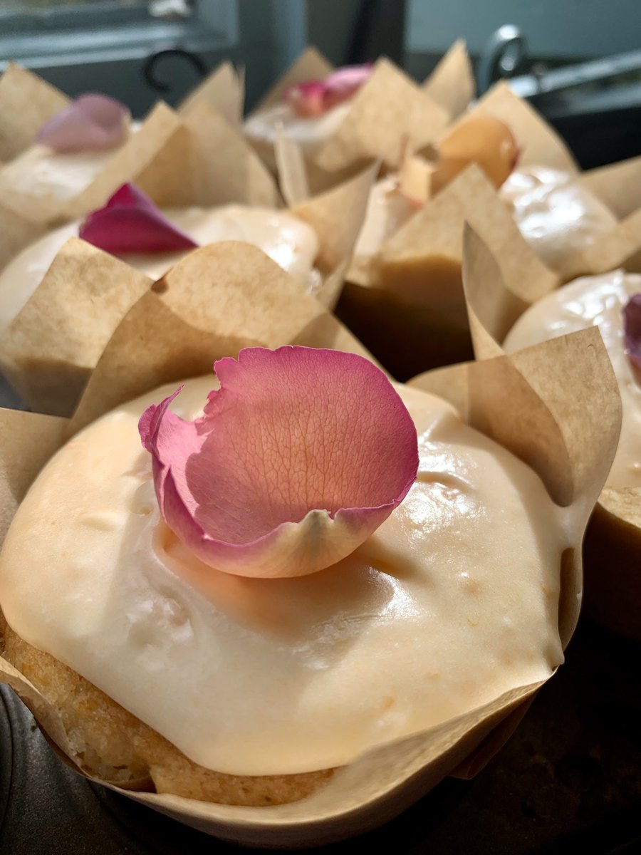 cavickhousefarm's tweet photo. Homemade vegan apricot cakes topped with edible rose petals on the counter today
#homemadecakes #cavickhousefarm #veganbaking #coffeeandcake #thingstodoinnorfolk #summerholidays #norfolkcafe #norfolkfarmshop #cakescakescakes #cakesofinstagram #apricotcake #farmhousekitchen https://t.co/HZJUKPj9a1