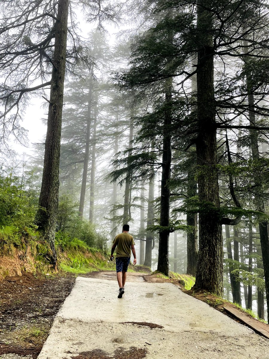 FoodRavel's tweet photo. Let's get lost 

#travel #nomad #vagabond #nomadic #journey #explore #travelhimachal #himachalpradesh #shangarh #foodravel #traveltoday #traveltomorrow #traveleveryday #travelsolo #instatravel #travelphotography #himachalcalling #valley #adventure #Travelers #travellocal https://t.co/AsJl5i5SDd