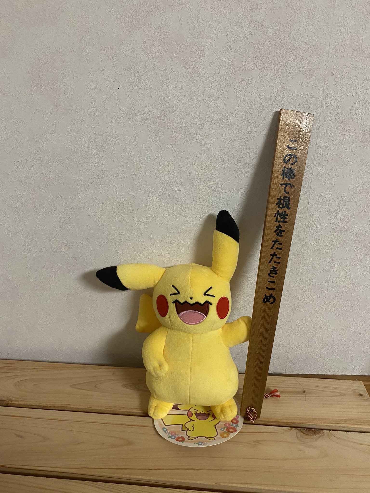 もち ポケモンの民 Omochi0723des Twitter
