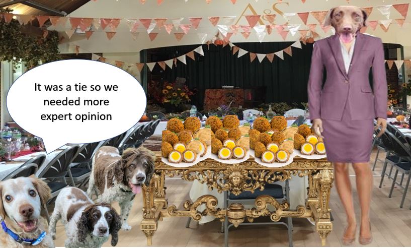 LolaWigglebutt's tweet image. Always impawtant to have suppawt *nods* #PODT  #ManyPawsMakeLightWork