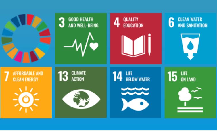 Die vierte Runde von <a href="/UNLEASHlab/">UNLEASH</a> zu Themen rund um die #SDGs der UN läuft - und unsere Auswahl für #UNLEASH2022 im Dezember steht: 20 unserer jungen Geförderten aus einem Duzend Ländern nehmen teil, 7 als "Talents" zum 1. Mal, 13 als "Facilitators". Wir gratulieren!