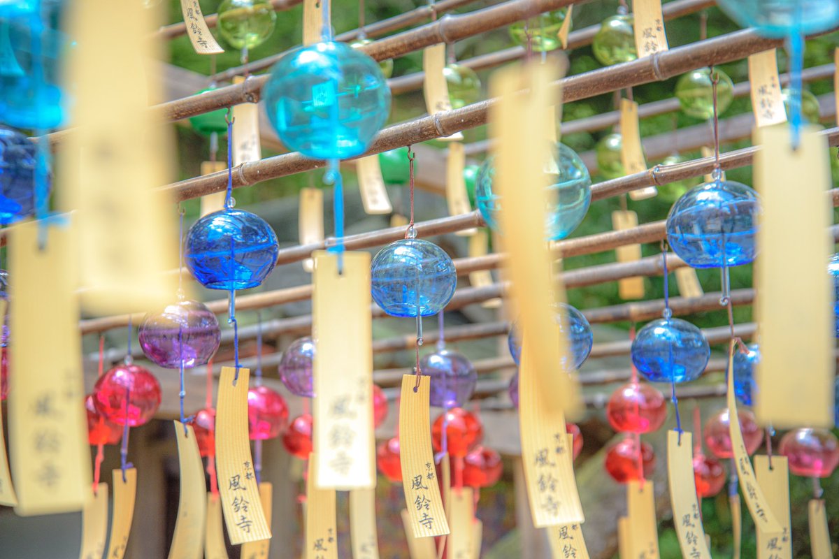 4869picture's tweet image. 【正寿院 風鈴まつり】
久しぶりの風鈴寺🎐
夏らしくも涼しい景色が見れました✨風が吹いて一斉に風鈴がなびく姿は圧巻です👏🏻

#正寿院 #風鈴 
#ファインダー越しの私の世界ᅠ 
#写真好きな人と繋がりたい