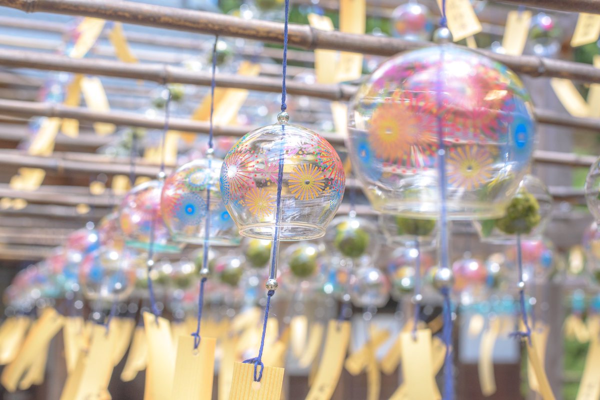 4869picture's tweet image. 【正寿院 風鈴まつり】
久しぶりの風鈴寺🎐
夏らしくも涼しい景色が見れました✨風が吹いて一斉に風鈴がなびく姿は圧巻です👏🏻

#正寿院 #風鈴 
#ファインダー越しの私の世界ᅠ 
#写真好きな人と繋がりたい