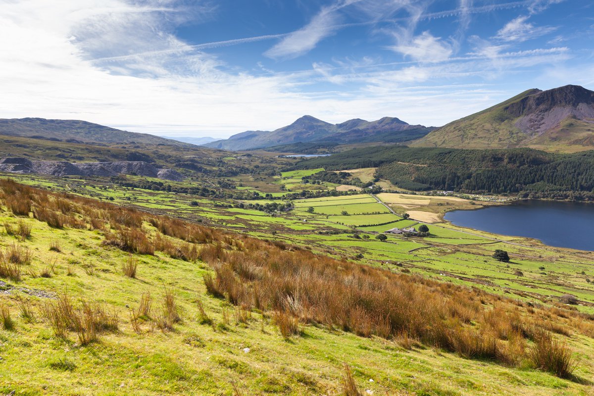 Great to come back from holiday to find #WelshFoodStories featured on <a href="/BloombergUK/">Bloomberg UK</a>:
"Graves’s new book argues that the country has a culinary vernacular as wide and distinctive as France’s or Italy’s"

Wedes i hynny go iawn?😛👇
bloomberg.com/features/2022-…