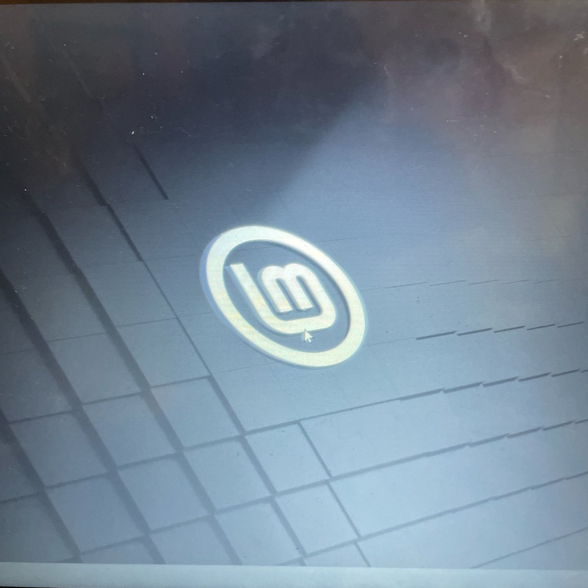 kinomama_c's tweet image. やったー！
OS入れ替えできた。
苦節3日。
憧れてたLinux。
いっぱい触って楽しむぞ💓

#linuxmint21