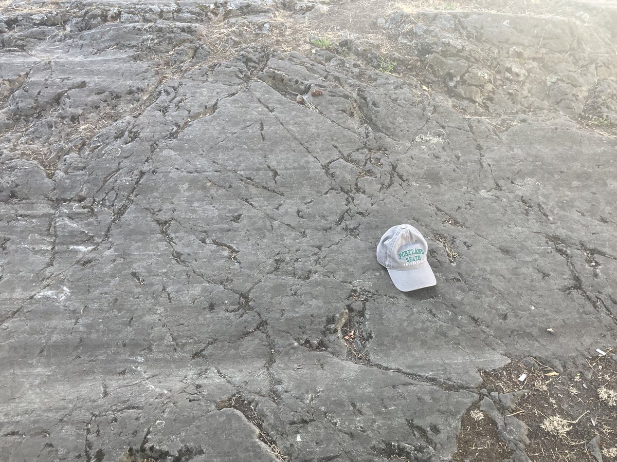 lafrenz's tweet photo. Glacial striations, chatter marks, and steps in the bedrock next to the BC legislative assembly https://t.co/viKRDS9T9W