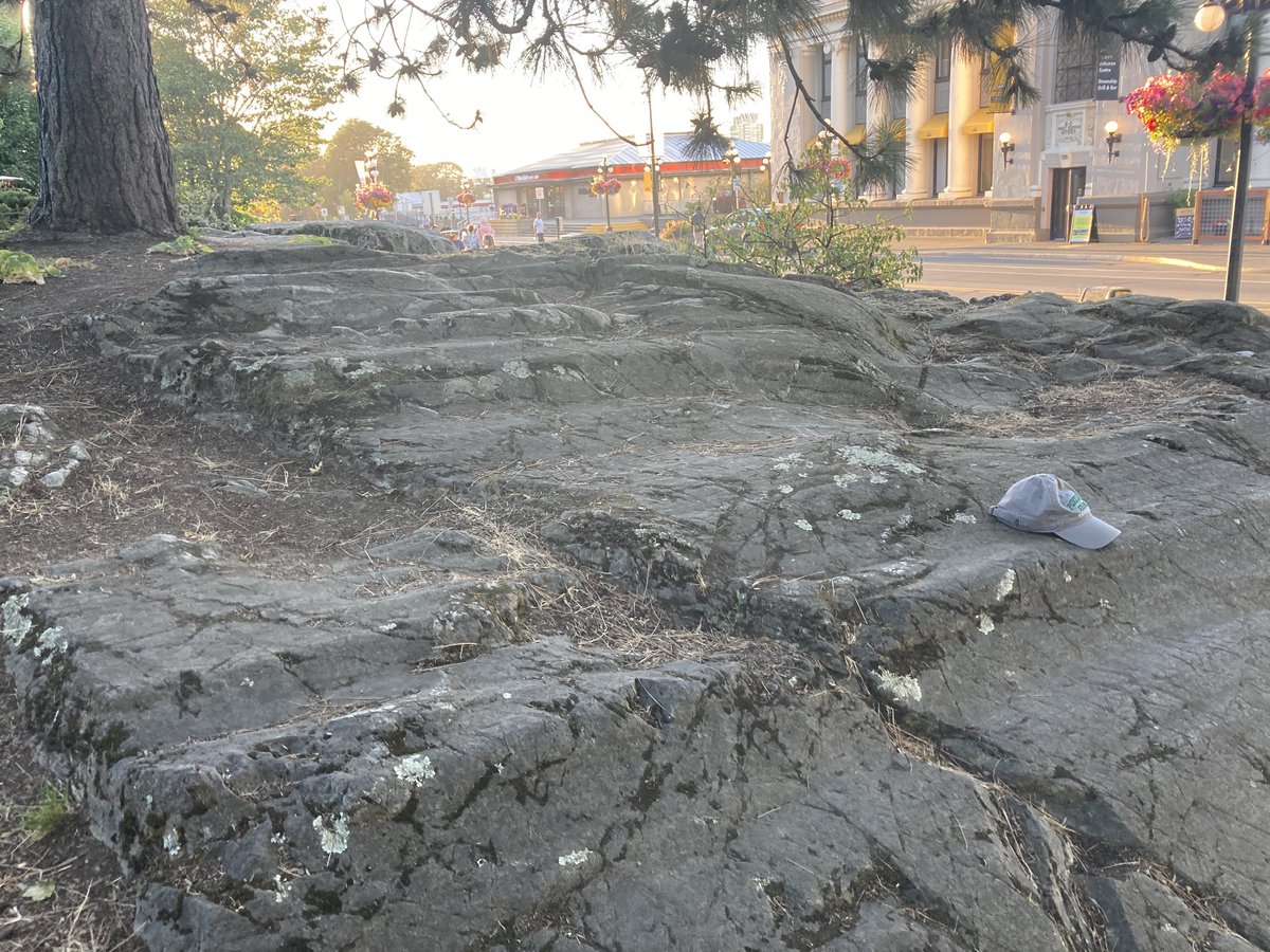 lafrenz's tweet photo. Glacial striations, chatter marks, and steps in the bedrock next to the BC legislative assembly https://t.co/viKRDS9T9W