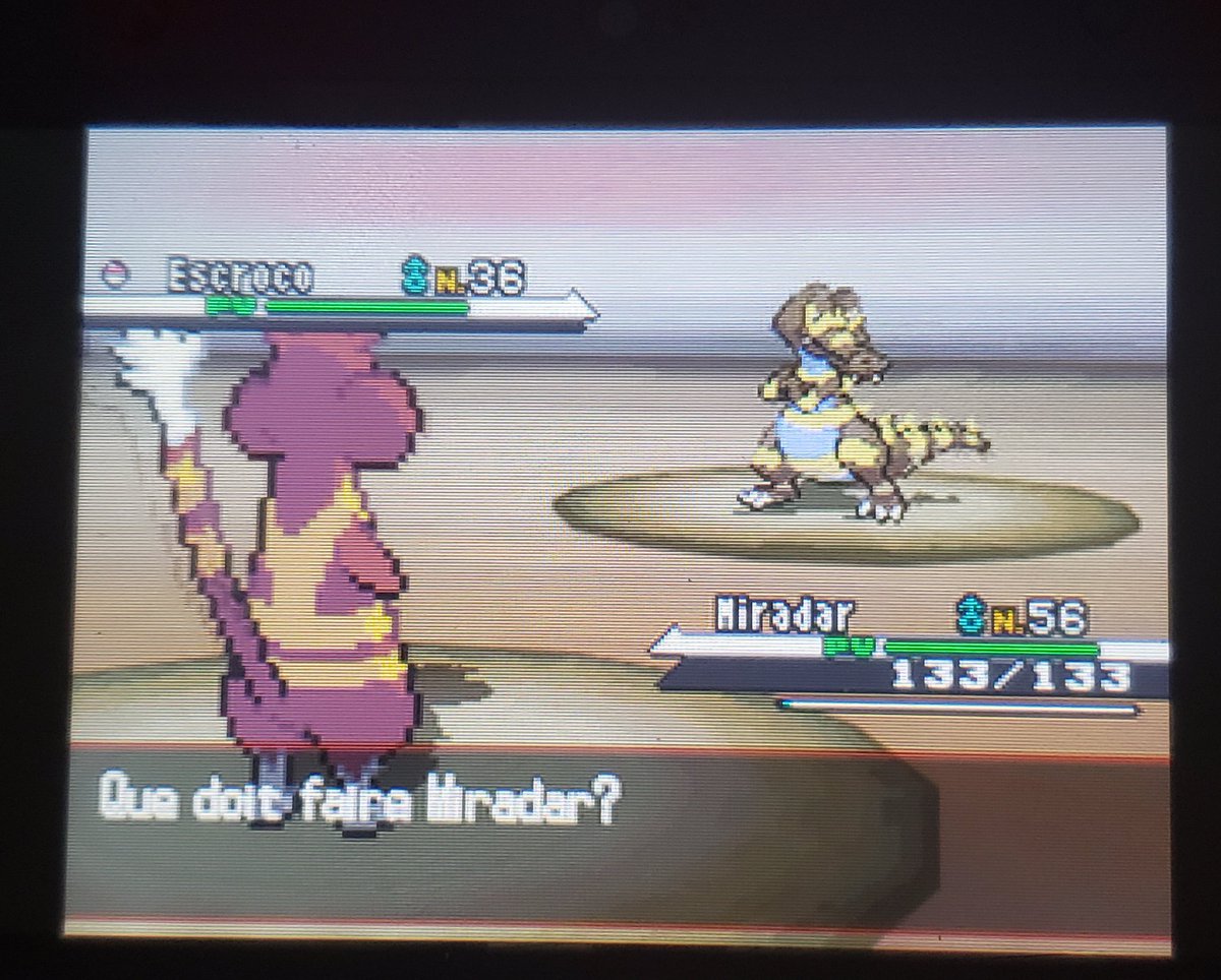 Shiny Krokorok after 4369 encounters!! Third phase for Cofagrigus, this shiny has such a cool color scheme 🐊🐊🐊✨