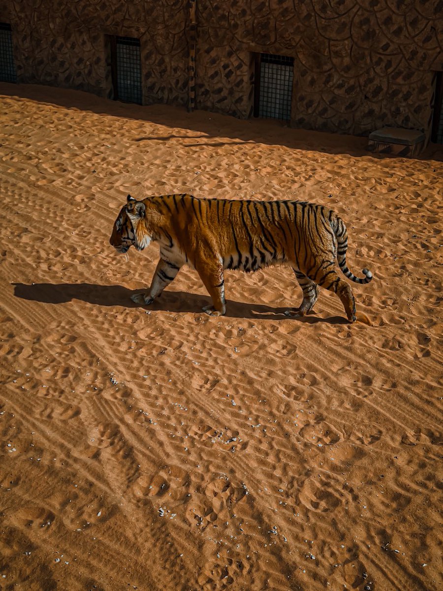 Veranda (@iclassyy_) on Twitter photo 