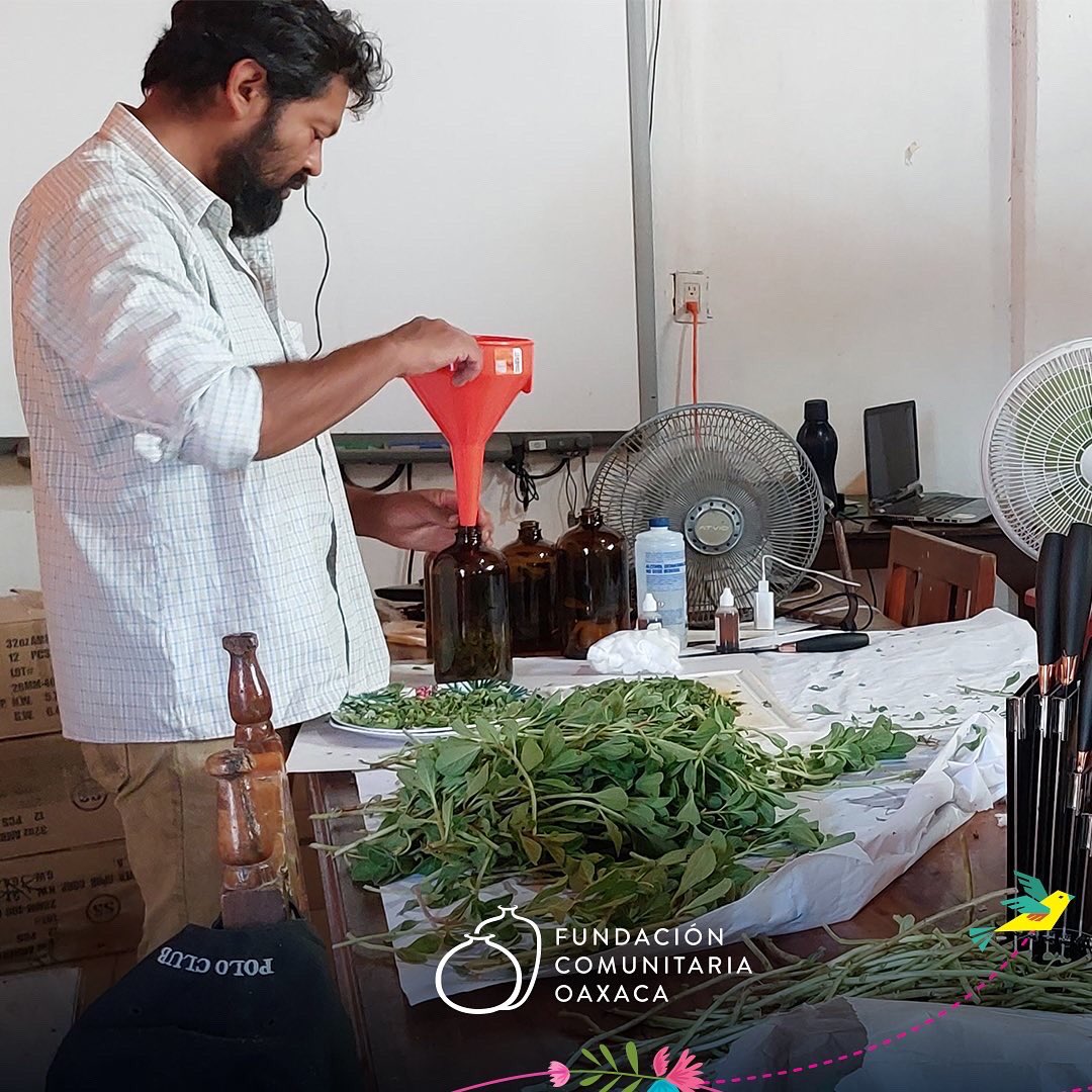 Fundación Comunitaria Oaxaca tweet media