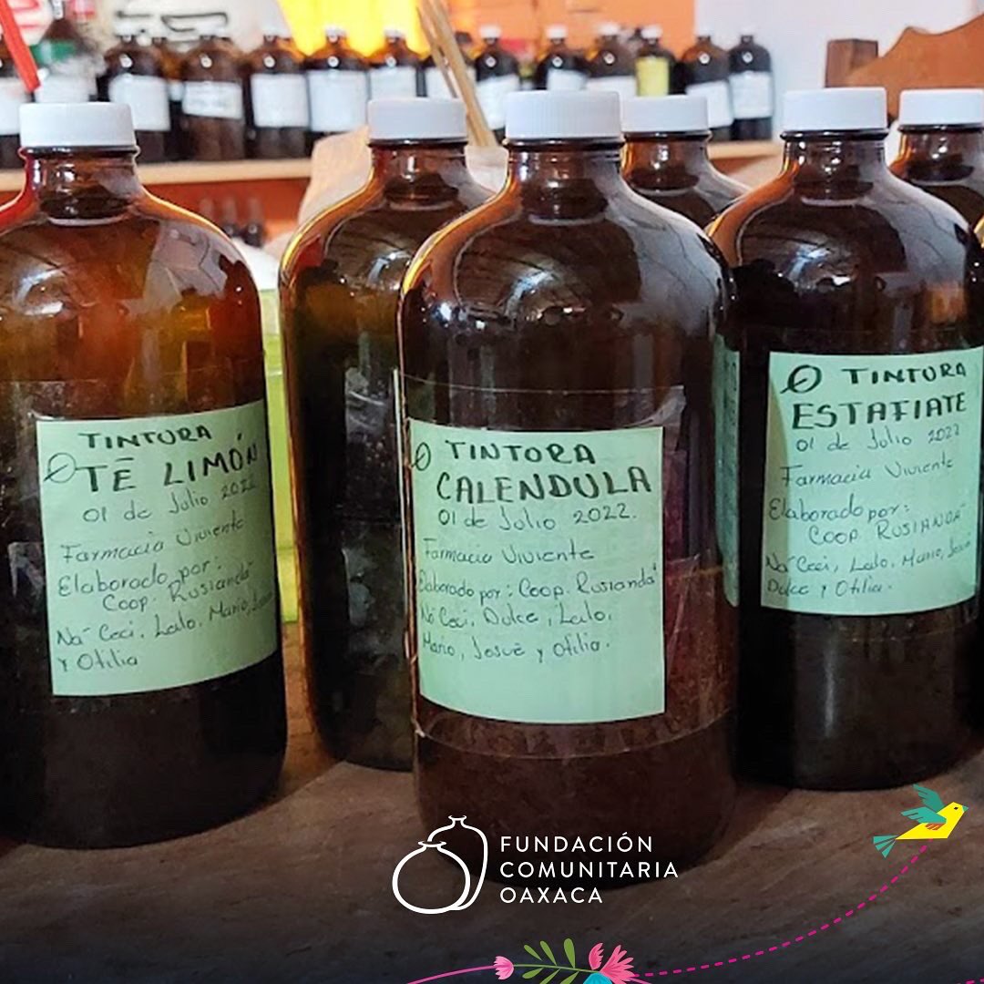 Fundación Comunitaria Oaxaca tweet media