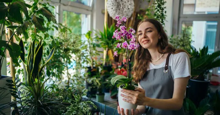 upmaintain's tweet photo. Keeping orchids requires a bit of know-how, but it's doable once you have the basics down.
And with so many colors and shapes to choose from, growing these endlessly interesting plants is a great way to flex your green thumb.
https://t.co/zxQmtjNOQp
#UPMaintain #Orchids https://t.co/N5ha3AZI0s