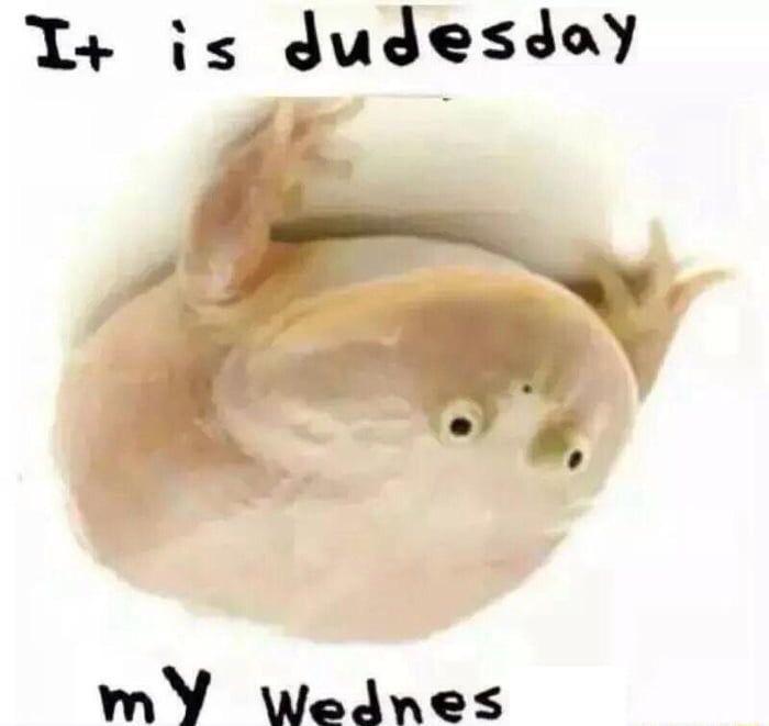 pam_and_bacon's tweet image. 