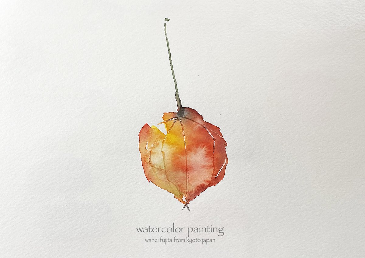 「鬼灯の季節になりました。#Watercolor #スケッチ #水彩画 #淡彩略画」|わへい水彩画@京都水彩画塾塾長のイラスト
