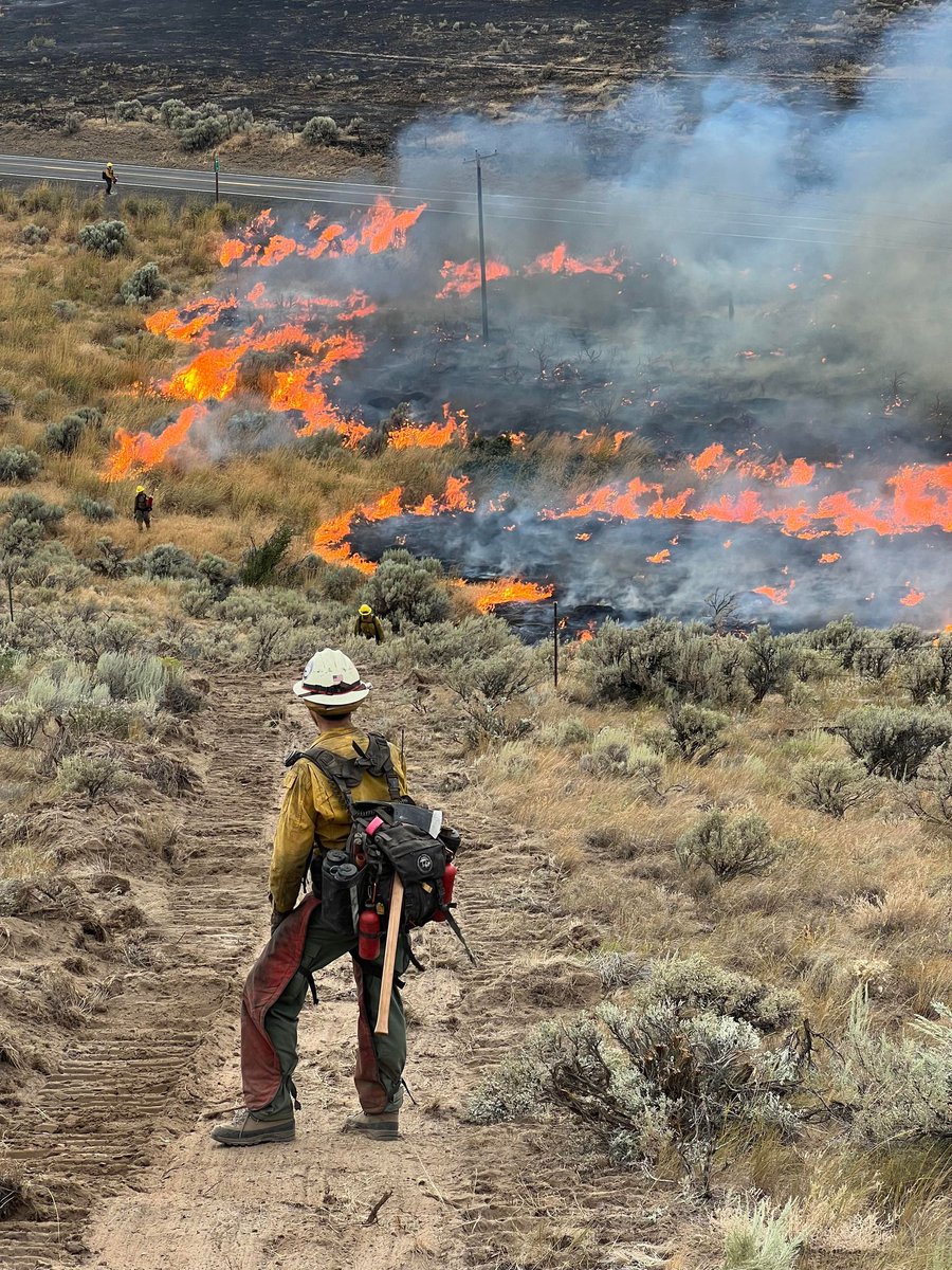 CWAFireInfo's tweet photo. #VantageHighwayFire Update: At 8 AM retardant &amp; water drops will begin on the NE corner of the fire and continue west. Crews on ground are cold trailing, burning, and digging line to secure NW flank. Vantage Hwy still closed due to small slopover last PM. S flank mopup continues. https://t.co/XlUY7DTh2A
