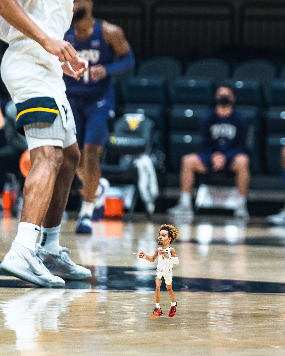 WVUSports's tweet photo. Honey, we shrunk the Hall of Famer! 

#HailWV https://t.co/WtA8WzTVvh