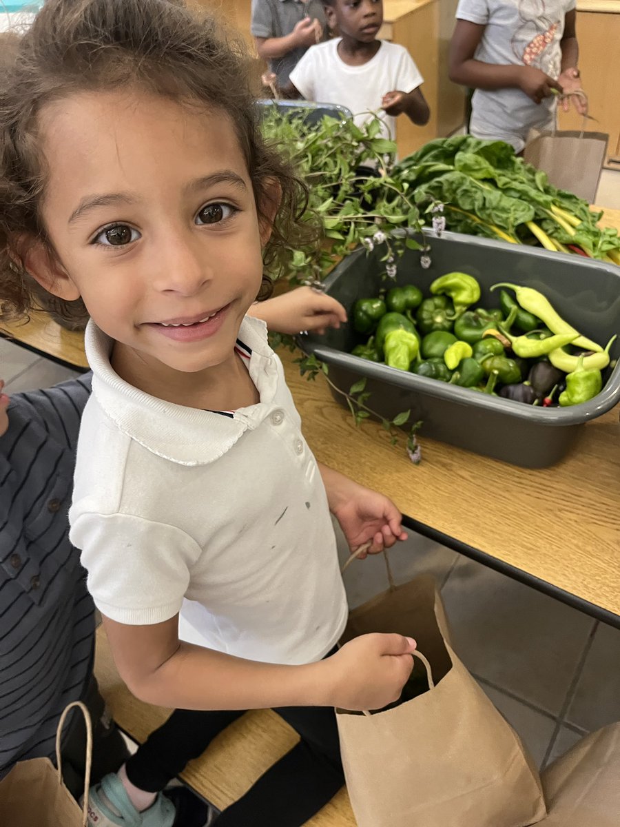 Jennifer Long tweet media