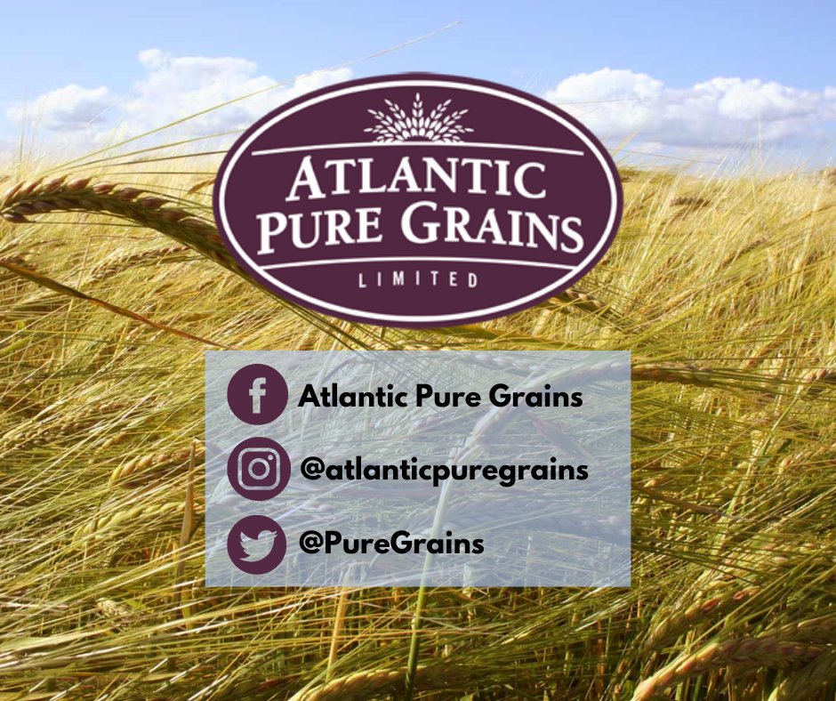 Atlantic Pure Grains (@puregrains) on Twitter photo 
