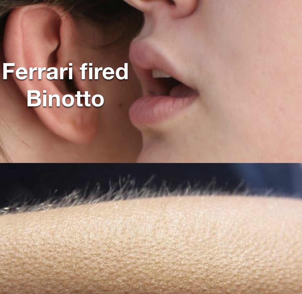 italianolegend's tweet photo. @ScuderiaFerrari @Charles_Leclerc @Carlossainz55 New wallpaper #FireBinotto https://t.co/WHPhiO2jrt