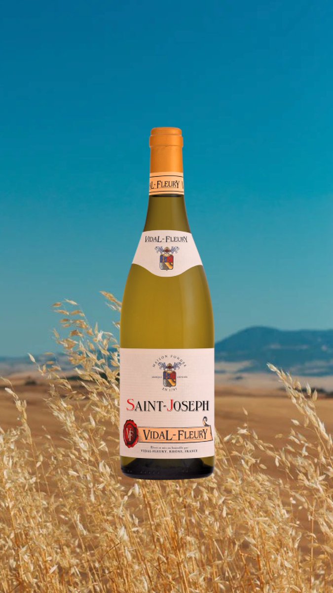 Vidal-Fleury 

Saint-Joseph blanc 2020

Cépage : Marsanne

L’abus d’alcool est dangereux pour la santé, à consommer avec modération. 

#whitewine #wineofsummer #whitesummer #vinblanc #saintjoseph #marsanne #cotesdurhone 

bit.ly/summer_whites_

<a href="/Vinsrhone/">Vignobles de la Vallée du Rhône</a>