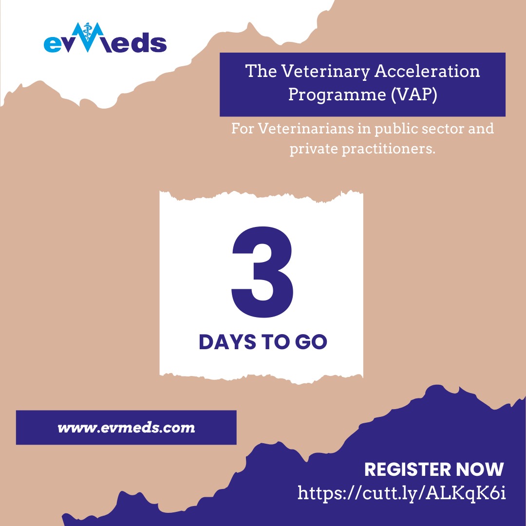evmeds's tweet photo. https://t.co/cHEptmDoMk